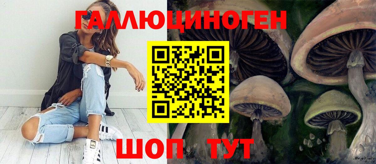 Псилоцибиновые грибы мицелий  Вход с VPN  Родники 